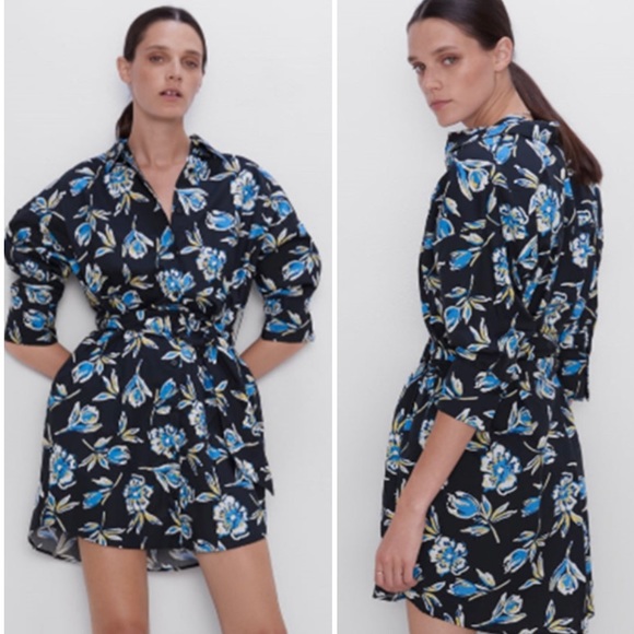Zara The Gia Dress Floral Belted Dress 
